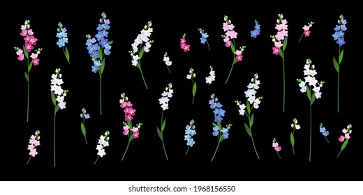 Set aus Blau, Weiß und Rosa Vergissnts auf schwarzem Hintergrund. Vektorgrafik. Frühlingsblumen für das Hochzeitsdesign.