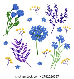 Set of blue wild flower and leaf clip art. Flat vector decoration elements isolated on white.