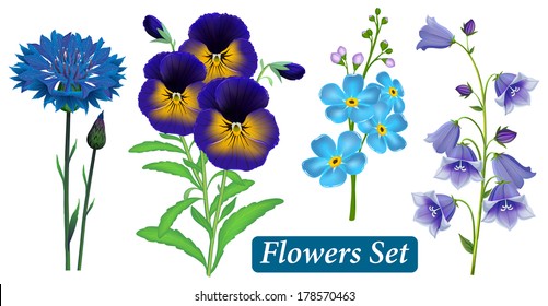 Set of blue wild flowers on a white background, vector.  Cornflower (Centaurea cyanus), Pansy, Forget-me-not flower, Campanula bell. 