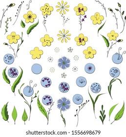 Set of blue and yellow flowers