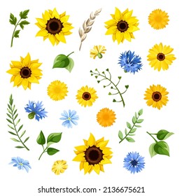 Set of blue and yellow sunflowers, dandelion flowers, cornflowers, gerbera flowers, and green leaves isolated on a white background