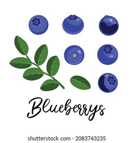Set of blueberries, berries no background and inscription, vector, forest berry