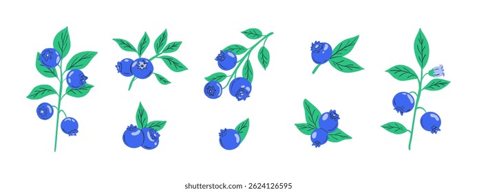 Set of blueberries. Cartoon forest berries with leaves, branch with organic garden blueberry fruits, botanic floral elements for packaging design. Vector collection.