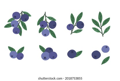 Set of blueberries. Cartoon style colorful hand drawn  vector illustration