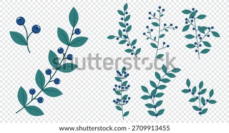 Set of blueberries. Winter plants. Winter branches and leaves. Winter floral elements. Holiday decoration. Vector illustration