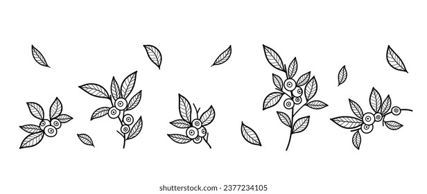 Set of blueberry branches with berries and leaves in graphic style. Hand drawn wedding grass, elegant leaves for invitation, decor, print. Botanical vector, hand drawn trendy greenery.	