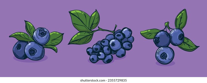 Set of Blueberry fruit, Vector illustration in one line sketch style, flat hand drawn sketch, Colorful fruit with shadow and light, isolated on colored background.