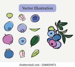 Set of Blueberry Hand Drawn Isolated Vector Illustration. Trendy paper cut shapes and linear graphic elements. Perfect for juice, jam, milk food packaging as well as for cosmetic visual branding.