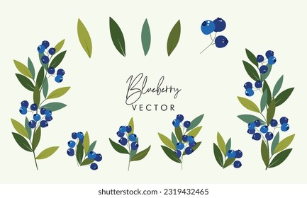 Set of blueberry with leaves design illustration. Set of romantic frames with ripe blueberries on white isolated background. Greeting card or invitation design