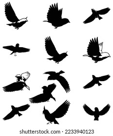 Set of Bluebird different poses Vector Collection. Bluebird icons silhouette isolated on white background