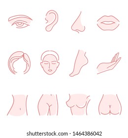 Set of body parts icons. Illustrations for spa and beauty salon, plastic surgery.