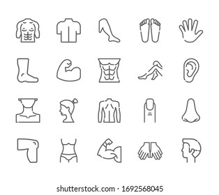 Set of body parts Related Vector Line Icons. Includes such Icons as leg, arm, head, back, finger, nose, stomach, ear and more.