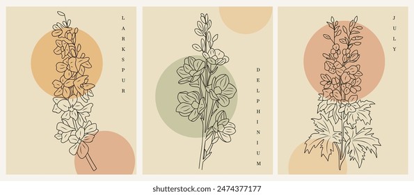 Set of Boho aesthetic botanical wall arts. Retro posters for Scandinavian, Japandi interior design. Vector line art illustrations in pastel beige colors with Larkspur, July birth month flower.