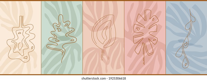 A set of boho style cover templates, fancy tropical leaves in a linear style. In the background is the shadow of monstera. Vector illustration. Solid line. Muted colors.