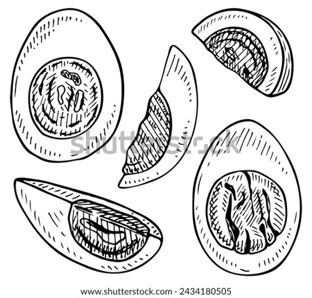 Set boiled egg sketch. Cut in half, slices. Breakfast food. Hand drawn vector illustration.
