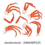 Set of boiled king crab legs collection, seafood crab meat with clipping path isolated on white background, restaurant menu, fish market, Fresh shellfish products, vector illustration.