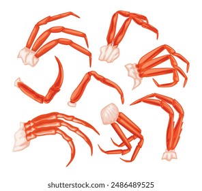 Set of boiled king crab legs collection, seafood crab meat with clipping path isolated on white background, restaurant menu, fish market, Fresh shellfish products, vector illustration.