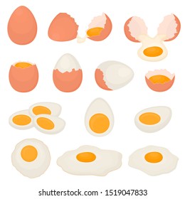 Set of boiled, raw and fried chicken eggs. Scrambled eggs for Breakfast. Brown shell. Healthy food. Vector illustration