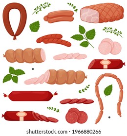 Set of boiled and smoked sausage products, frankfurter, whole sausage, half, sliced,boiled pork,string of sausages, green twigs and leaves. Food, meat dish. Color vector illustration isolated on white