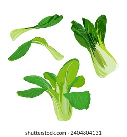 Set of Bok choy isolated on a white background. vector illustration.