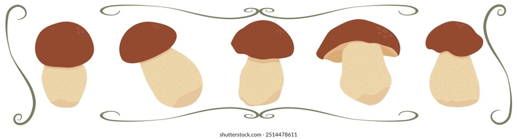 Set of boletus mushrooms vector isolated on white
