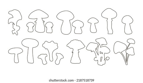 Set of boletus, oyster mushrooms, cepes, russules, grebes, fly agarics, boletus, chanterelles, honey agarics, drawn in the style of outline. Vector
