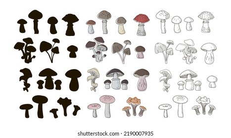 Set of boletus, oyster mushrooms, ceps, grebes, fly agarics, boletus, chanterelles, honey agarics, drawn in a single line style, black silhouette and doodle. Vector