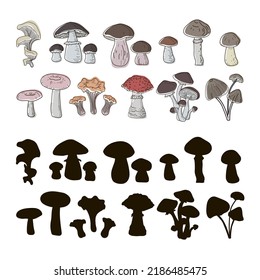 Set of boletuses, oyster mushrooms, ceps, grebes, fly agarics, boletuses, chanterelles, honey agarics, drawn in doodle and black silhouette style. Vector