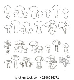 Set of boletuses, oyster mushrooms, mushrooms, dunnocks, cloudberries, fly agarics, boletuses, chanterelles, honeydew agarics, drawn in outline and doodle style. Vector