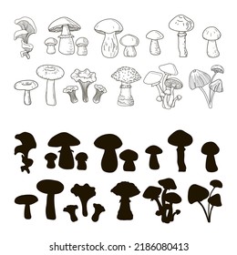Set of boletuses, oyster mushrooms, porcini mushrooms, grebes, fly agarics, boletuses, chanterelles, honeydew agarics, drawn in a single line style and black silhouette. Vector