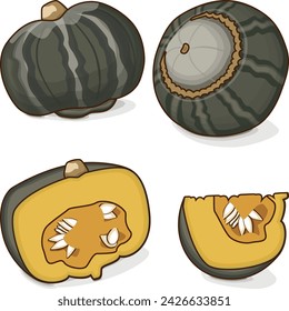 Set of Bonbon Squash. Winter squash. Cucurbita maxima. Fruits and vegetables. Clipart. Isolated vector illustration.