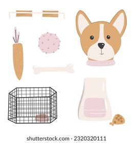 Set of bone for dogs, toy, dog head, pet food packaging, orange carrot, dog metall kennel in scandinavian style. Vector illustration on white background for sticker, print, poster, postcard