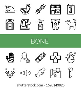 Set Of Bone Icons. Such As Chicken, Chicken Leg, Dog, Joint, Poison, Pet Shop, Body, X Ray, Plastered Arm, Skull, Pirate, Fishbone, Spinal Board, Veterinary, Treasure Map , Bone Icons