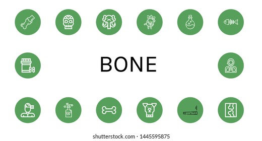 Set of bone icons such as Joint, Skull, Mammoth, Zombie, Poison, Fish bone, Pirate, Bone, Dog, X ray, Analgesic, Human organs ,