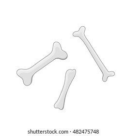 a set of bones gray isolated on Halloween.