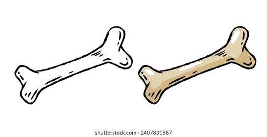 Set of bones. Part of the human skeleton. White dog Toy. Vector Cartoon and flat illustration