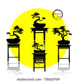 set of Bonsai . Black silhouette of bonsai. Detailed image. Vector illustration.