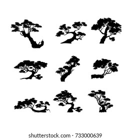 set of Bonsai . Black silhouette of bonsai. Detailed image. Vector illustration