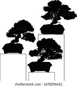 set Bonsai black tree silhouette vector