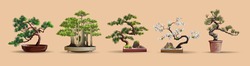 Uppsättning Bonsai Japanska Träd Odlas I Behållare. Vackert Realistiskt Träd. Träd I Bonsai Stil. Bonsai Träd På Den Röda Lådan. Dekorativ Liten Trädvektor Illustration. Naturkonst