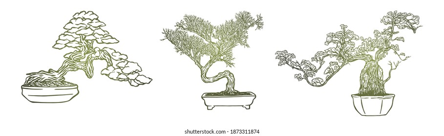 Set of bonsai Japanese trees grown in containers - Hand drawn - Out line