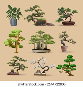 Set of bonsai Japanese trees grown in containers. Beautiful realistic tree. Tree in bonsai style. Bonsai tree on the red box. Decorative little tree vector illustration. Nature art