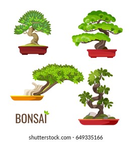 Set of bonsai Japanese trees grown in containers vector illustration