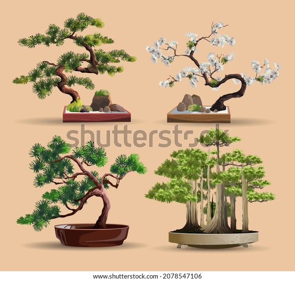 Set of bonsai\
Japanese trees grown in containers. Beautiful realistic tree. Tree\
in bonsai style. Bonsai tree on the red box. Decorative little tree\
vector illustration. Nature\
art