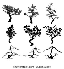Set of Bonsai Japanese trees silhouette growing in pots and containers. Drawing from real trees. Decorative little trees in Bonsai style set, hobby. Vector.