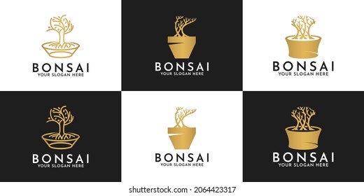 Set Of Bonsai Tree Logo Designs On Pots