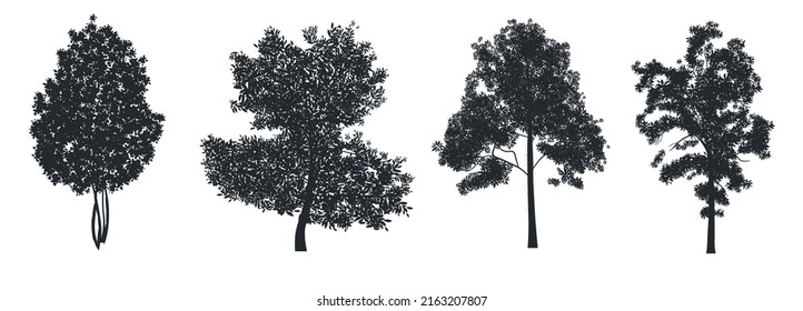 Set of Bonsai tree Silhouettes premium vector template