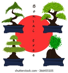 Set of Bonsai Trees.