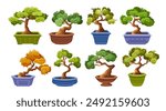 Set Of Bonsai Trees In Decorative Pots, Showcasing Different Shapes And Styles. Each Bonsai Tree Is Uniquely Styled