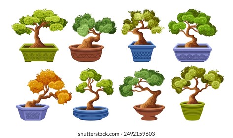 Set Of Bonsai Trees In Decorative Pots, Showcasing Different Shapes And Styles. Each Bonsai Tree Is Uniquely Styled